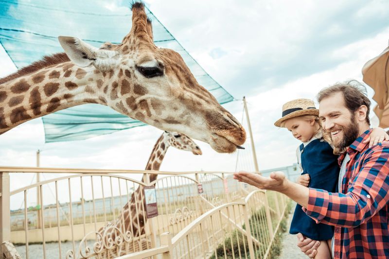 Billet Zoo de Hellabrunn : Billet avec accès rapide + Transfert aller-retour depuis Munich