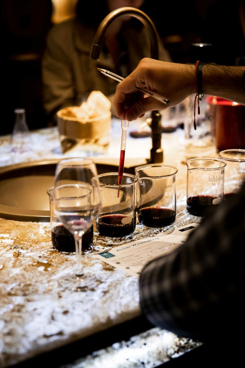 Billet Les Caves du Louvre : Atelier guidé de vinification