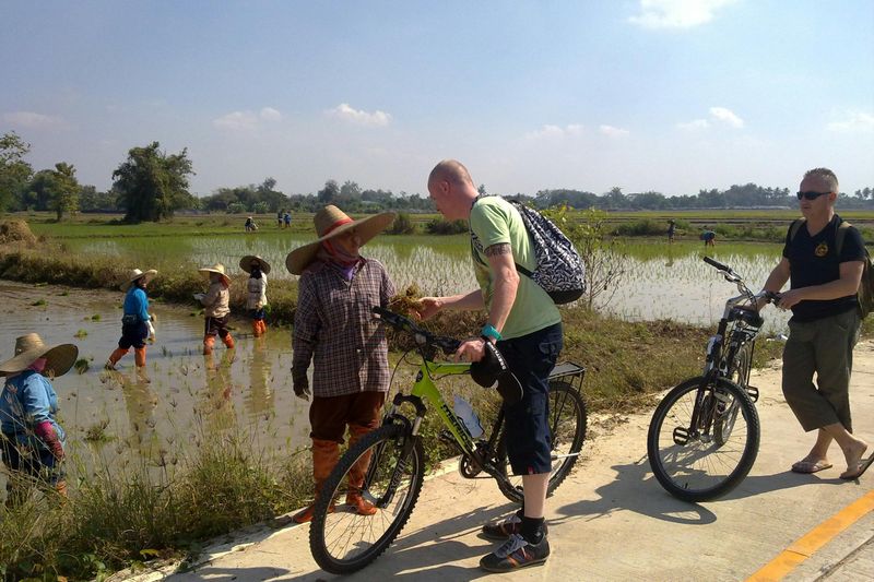 Billet Excursion à vélo au paradis de Chiang Mai