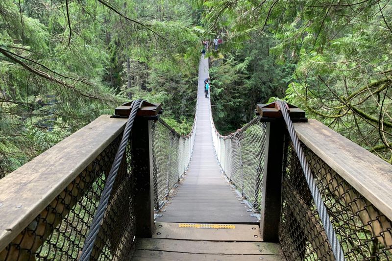 Billet Vancouver : Randonnée guidée dans la forêt tropicale avec chutes d'eau et pont suspendu + transfert