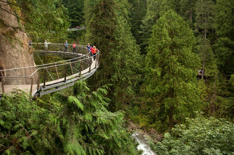 Billet Vancouver : Visite guidée + visite du parc du pont suspendu de Capilano + déjeuner
