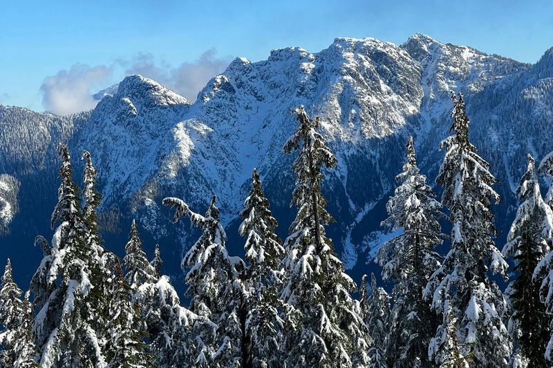 Billet Vancouver : Excursion guidée en raquettes