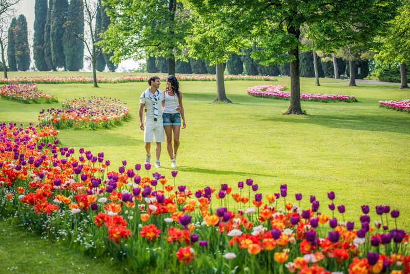 Billet Parco Giardino Sigurtà : Open Date Ticket