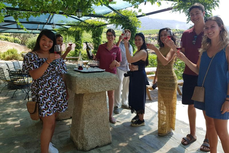 Billet Vallée du Douro : Visite guidée des vignobles + déjeuner au départ de Porto