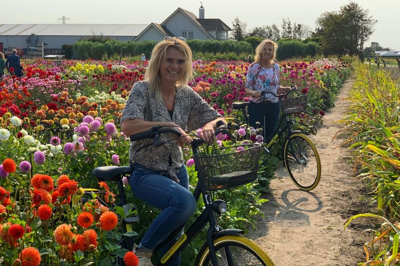 Billet Région des bulbes : Jardins de dahlias, moulins à vent et château à vélo