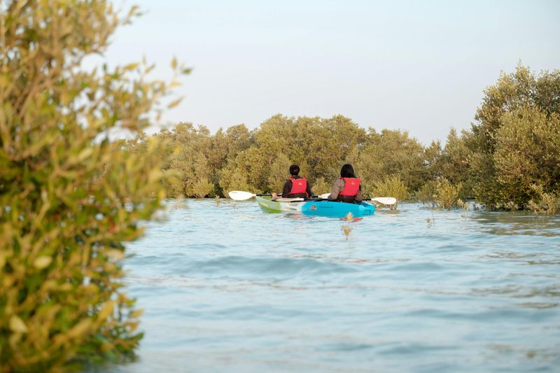 Billet Excursion guidée en kayak dans les mangroves