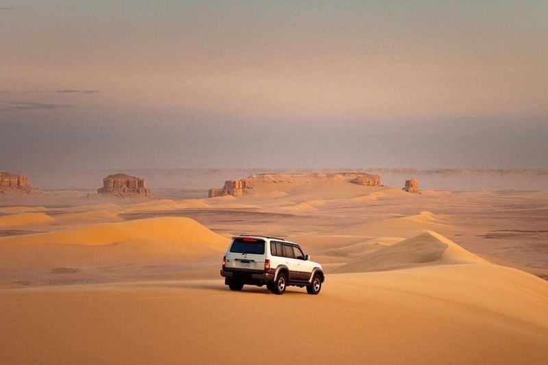 Billet Wadi El Rayan : Safari dans le désert en 4X4, planche à sable et promenade à dos de chameau depuis Le Caire ou Gizeh