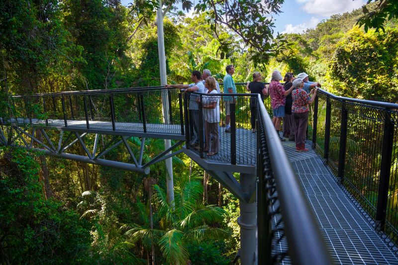 Billet Tamborine Mountain : Bus Hop-on Hop-off de Brisbane