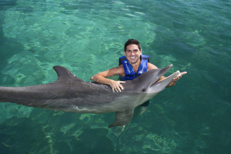 Billet Delphinus Xcaret : nagez avec les dauphins