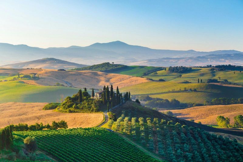 Billet Pienza et Montepulciano : Excursion œnologique d'une journée au départ de Florence