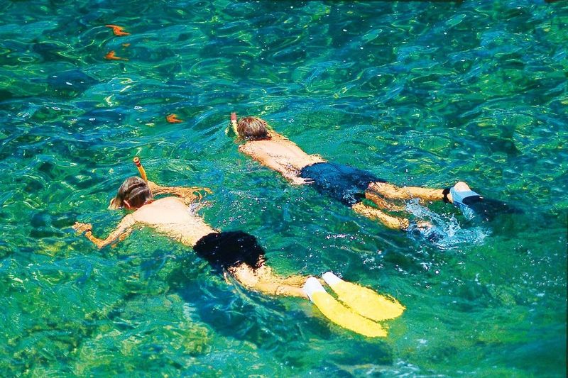 Billet Palma de Majorque : Croisière en catamaran de 2 heures + baignade et plongée en apnée