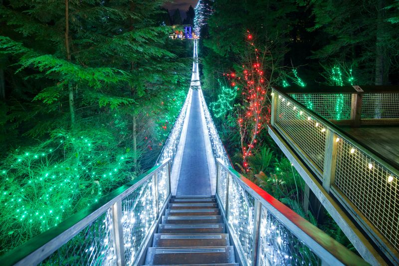 Billet Vancouver : Visite de Noël avec les lumières du canyon de Capilano