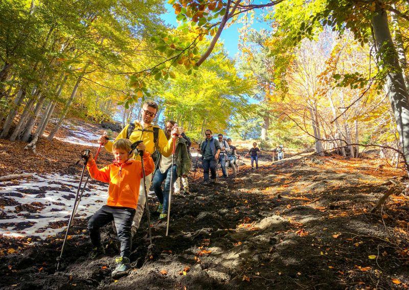 Billet Etna Nord : excursion aux cratères de l'éruption de 2002