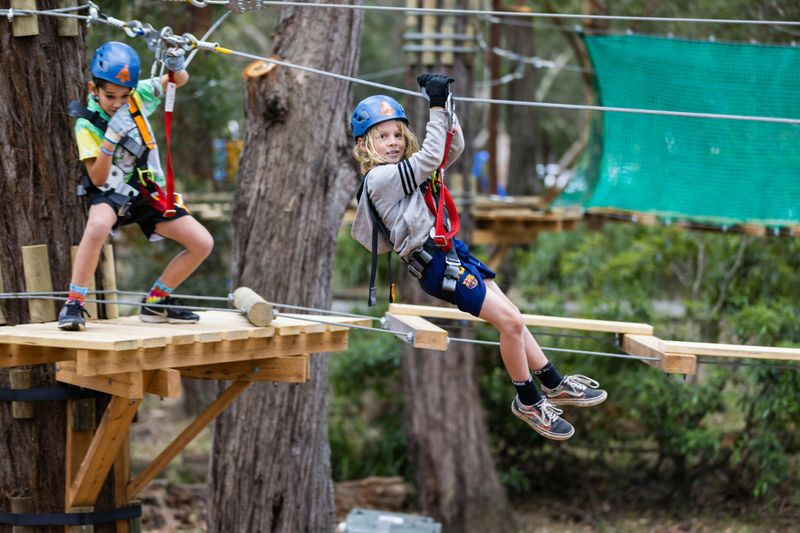 Billet Treetops Adventure Coffs Harbour : Parcours d'accrobranche junior