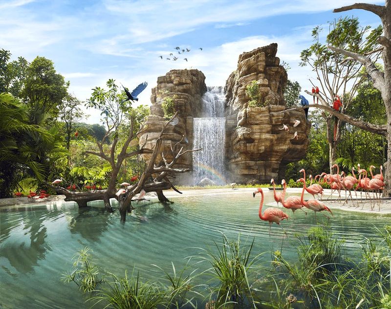 Billet Le paradis des oiseaux de Singapour