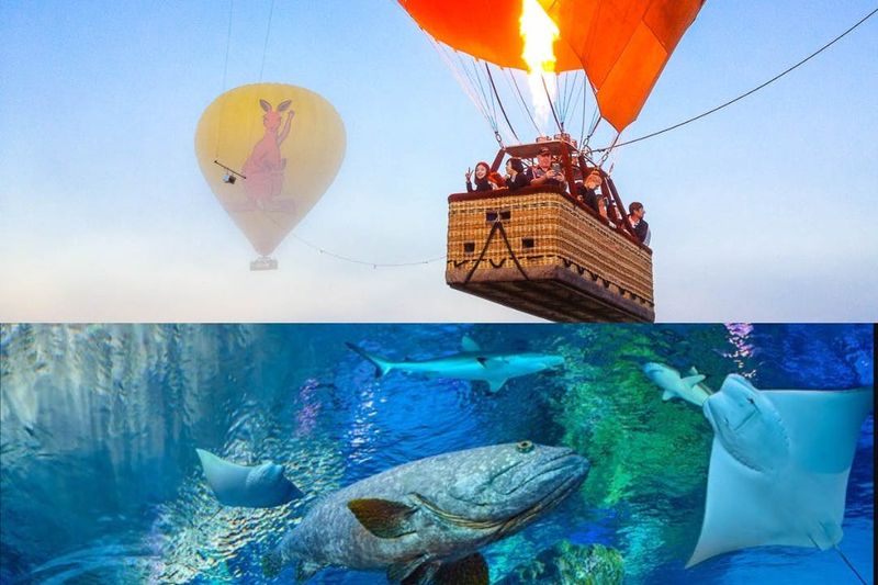 Billet Cairns : Vol en montgolfière + transfert + collations + activités facultatives