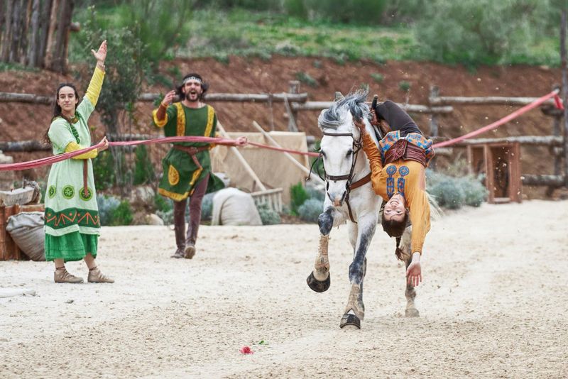 Billet Puy du Fou España : Accès au parc