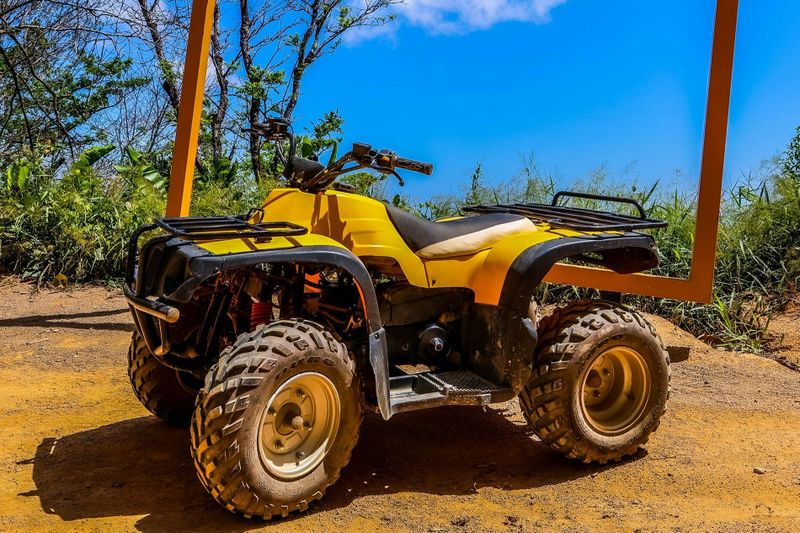 Billet Pa Tong : Randonnée en VTT + visite du Grand Bouddha