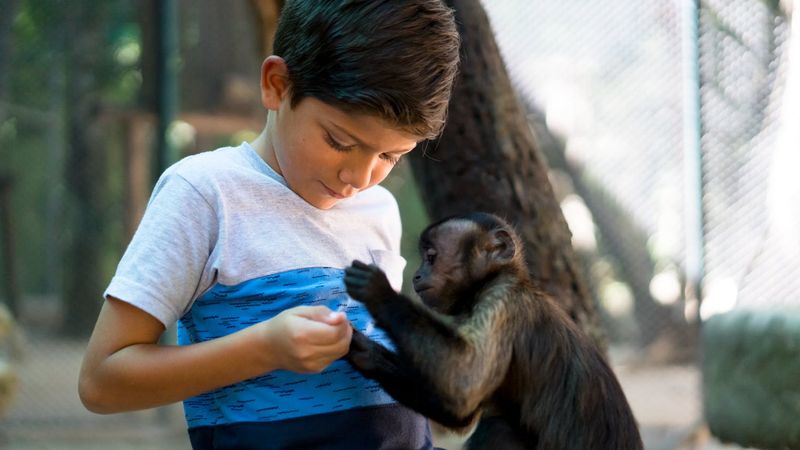 Billet Circuit en VTT dans la jungle des singes