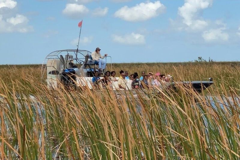 Billet Miami : Visite guidée du parc national des Everglades + balade en aéroglisseur depuis South Beach
