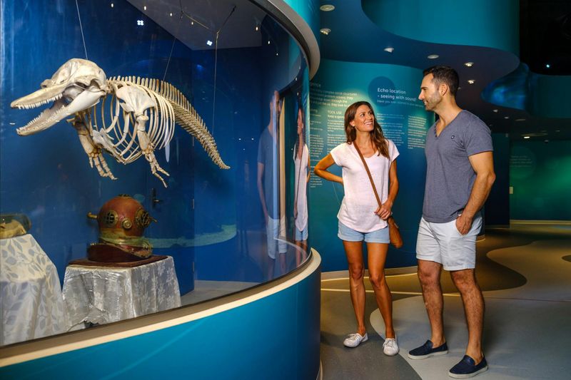 Billet Centre de découverte des dauphins : Visite du centre de découverte et d'interprétation du milieu marin