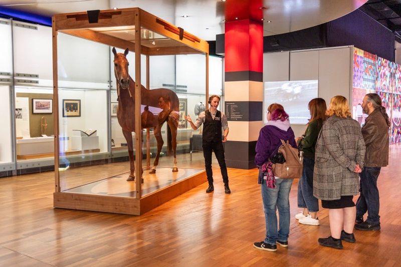 Billet Musée de Melbourne : Visite de l'histoire de Melbourne