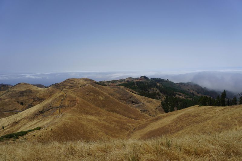 Billet Monte Pavón : Excursion guidée d'une journée depuis Gran Canaria + Déjeuner pique-nique