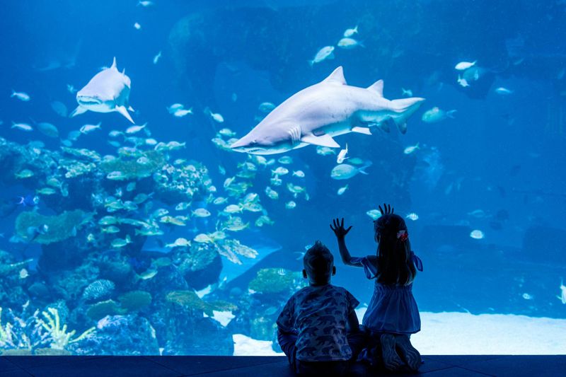 Billet Aquaria Phuket: Billet d'entrée