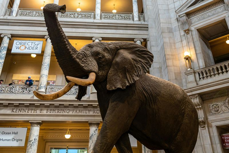 Billet Musées de la Smithsonian Institution : Visite guidée à pied + Entrée chronométrée Air & Space