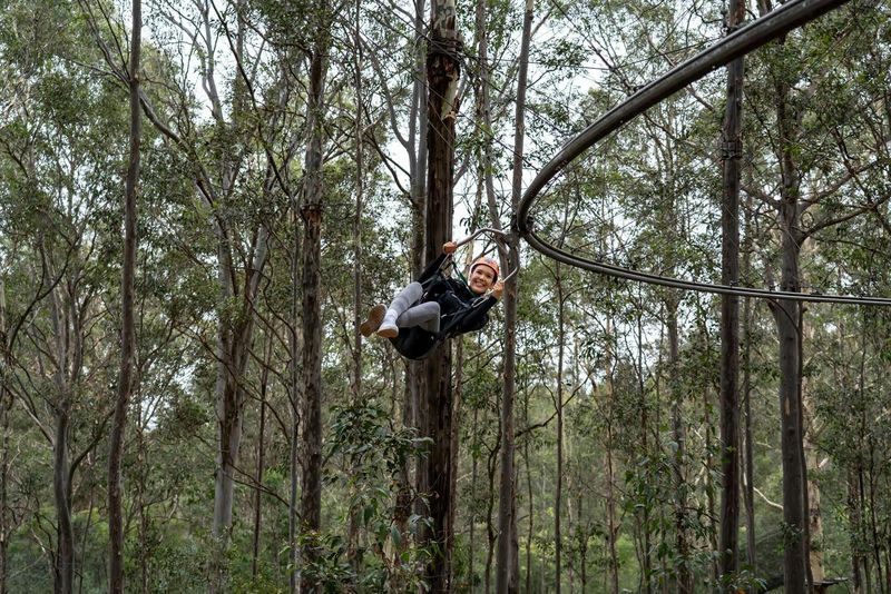 Billet Treetops Adventure Central Coast : Parcours en tyrolienne