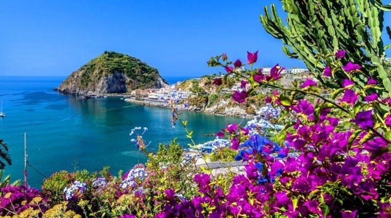 Billet Île d'Ischia : excursion d'une journée depuis Naples avec déjeuner