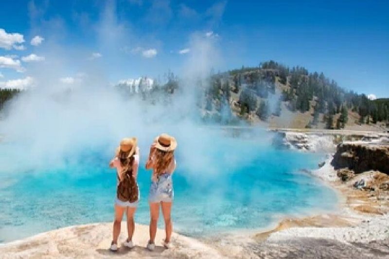 Billet De Jackson Hole : Yellowstone Old Faithful, Waterfalls and Wildlife Day Tour