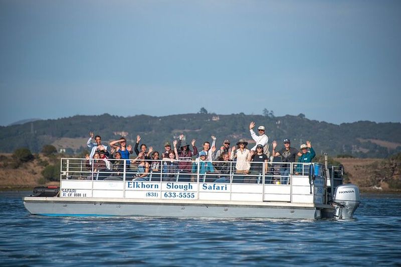 Billet Excursion en bateau avec safari animalier dans la zone humide pittoresque de la baie de Monterey