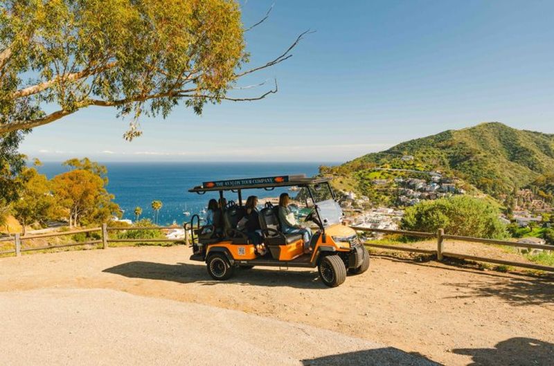 Billet Vivez Avalon comme un panier de golf privé local Aventure