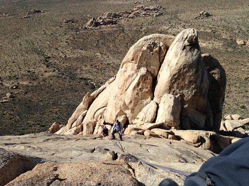 Billet Excursions d'escalade dans le parc national de Joshua Tree (8 heures)