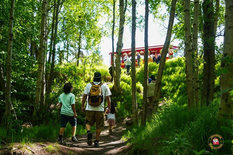 Billet Visite de luxe de la ville d'Anchorage Trolley