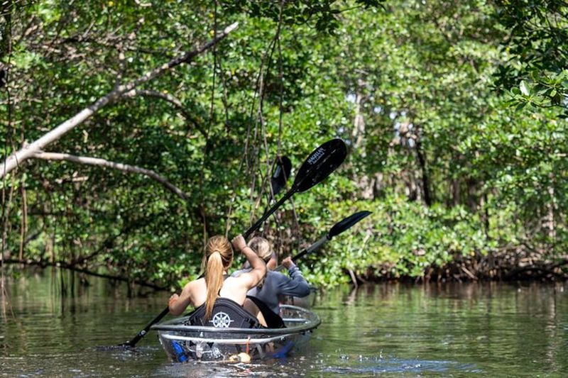 Billet Excursion en kayak clair à North Miami Beach - Tunnels de mangrove