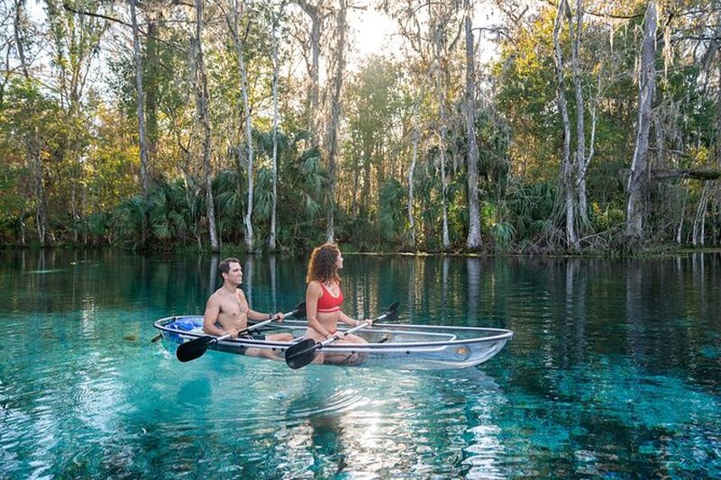 Billet Silver Springs : aventure faunique en kayak clair