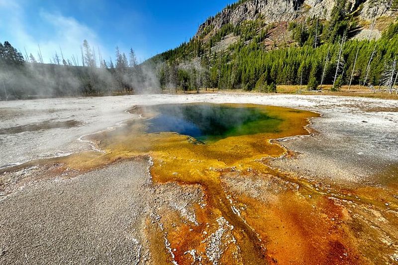 Billet Excursion d’une journée : boucle inférieure de Yellowstone
