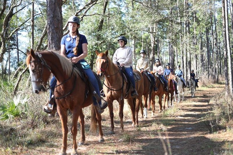 Billet Randonnée guidée de deux heures à cheval dans le centre de la Floride