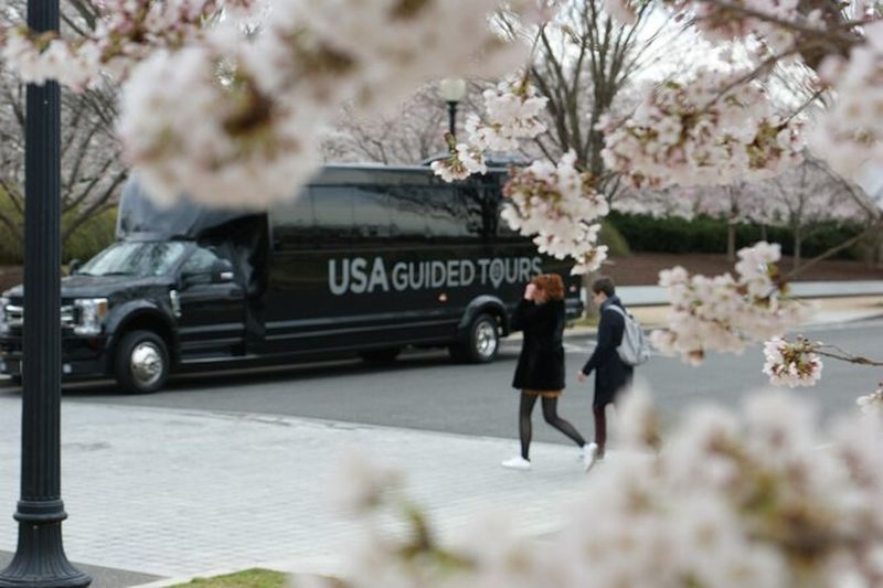 Billet Visite en bus de DC Cherry Blossom avec promenade guidée dans le bassin à marée
