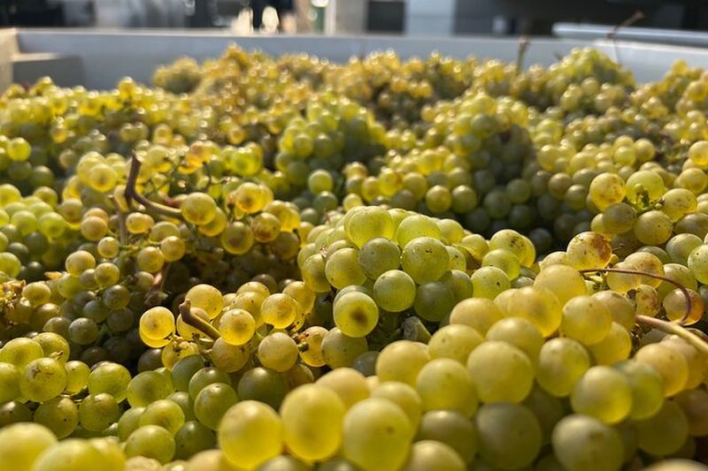 Billet Visites guidées personnalisées du vin de Willamette Valley au départ de The Allison Inn and Spa