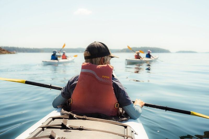 Billet Excursions en kayak de 3 heures au départ de Friday Harbor