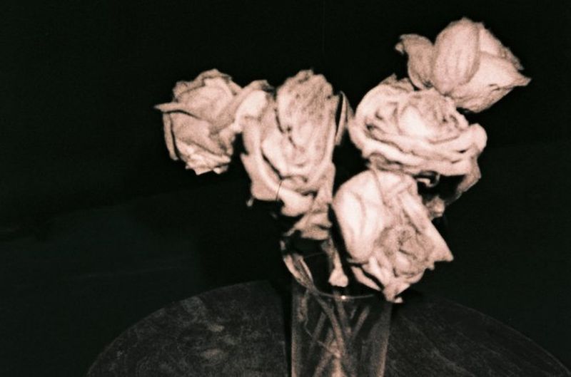 Billet Atelier de développement de films Beerenol avec de la bière