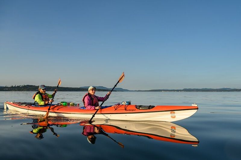 Billet Visite guidée en kayak sur l'île de San Juan