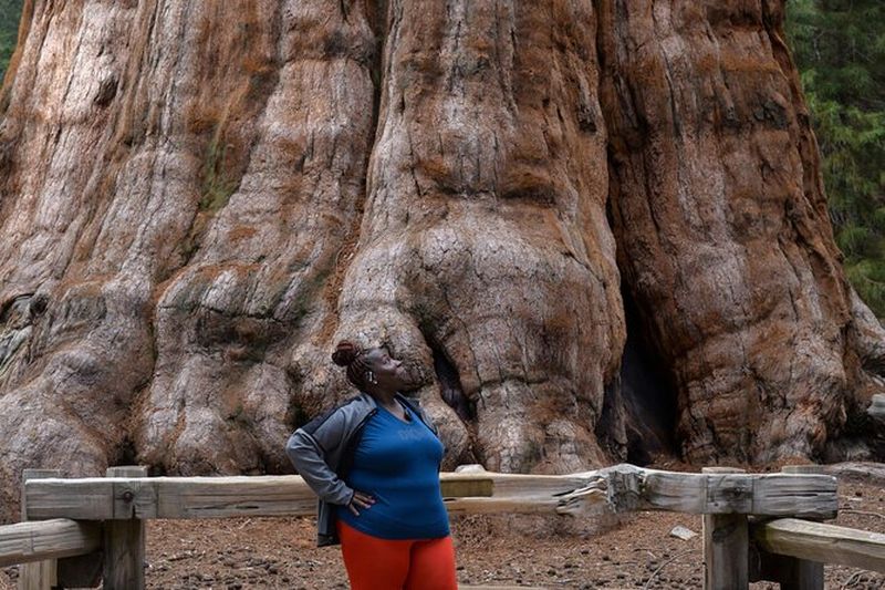Billet Privé 2 - Excursion d'une journée dans les parcs Sequoia et Kings Canyon au départ de LA