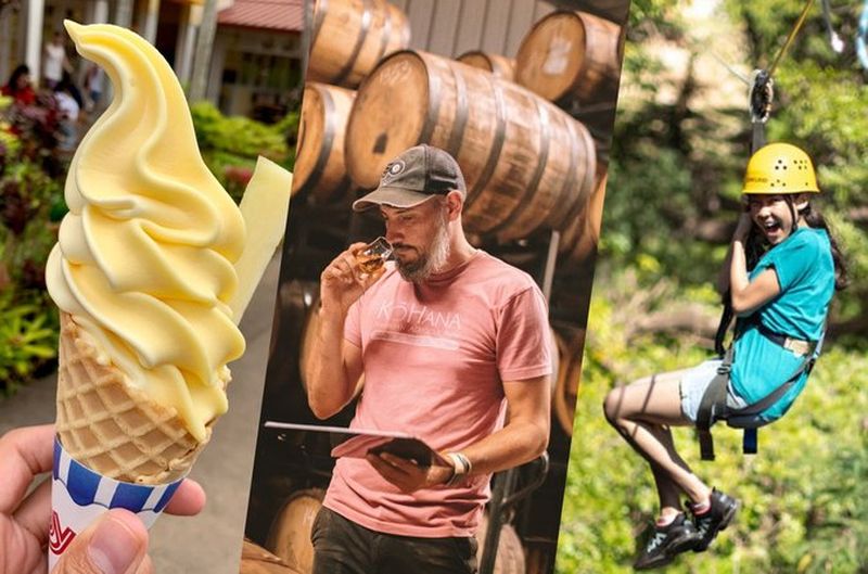 Billet Plantation de Dole, rhum Ko Hana et 3 tours d'aventure en tyrolienne