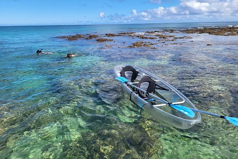 Billet Clear Bottom Kayak - Garanti de voir des tortues!