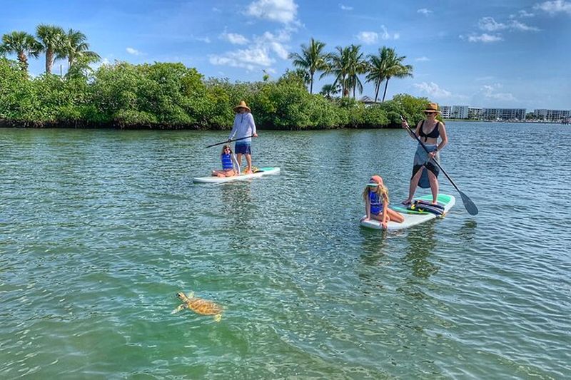 Billet Paddle Boarding Eco Adventure Tour Jupiter Florida - Singer Island