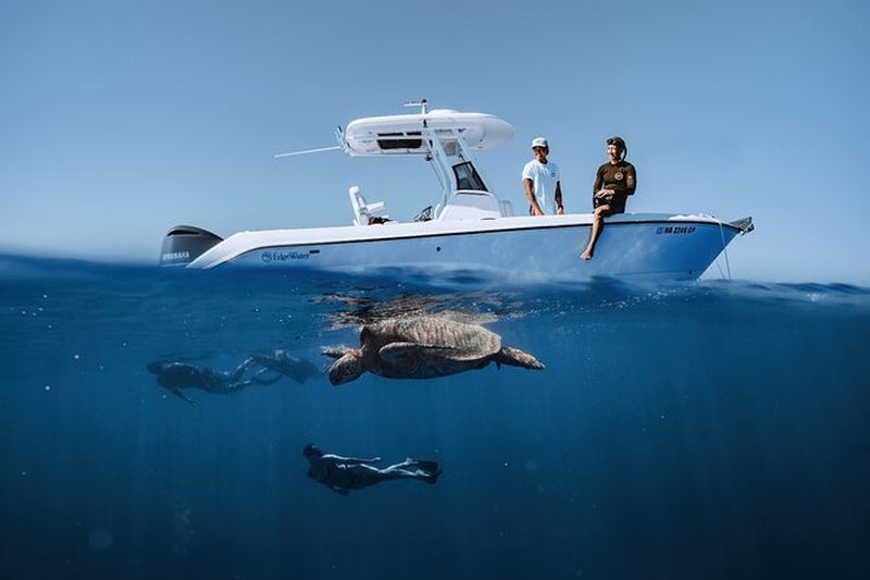 Billet Turtle Canyon Snorkel à Waikiki, Oahu Semi privé